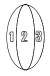 druif